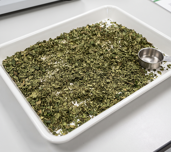 Moringa Leaves powder and dried fruit capsule / pods