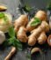 How Ginger, Garlic, Coriander and Mint Pastes Support Modern Food Manufacturing