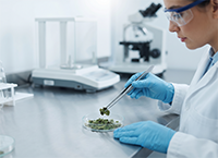 Laboratory testing